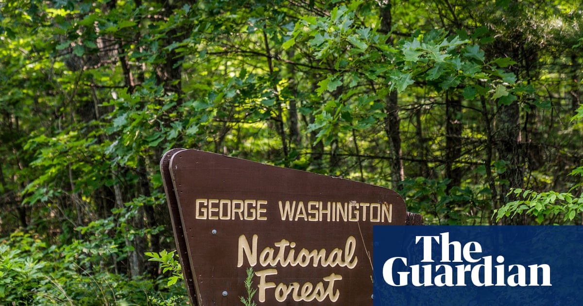 Trump Administration Moves to Repeal 2001 Roadless Rule, Opening 45 Million Acres of National Forests to Development